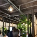 목향 | 진해 목향장미 카페 송학커피 후기 : 주말 웨이팅 + 포토존 꿀팁