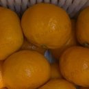 광진농장 이미지