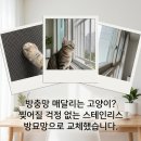 찢어지지 않는 고양이 방충망 시공, 아파트 추락 사고 막는 방묘망 교체 후기
