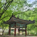 창촌중학교 | [강원도 춘천 여행] 춘천 가볼만한 곳 구곡폭포 봉화산 문배마을 그리고봄 카페