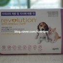 한국베링거인겔하임동물약품(주) 이미지