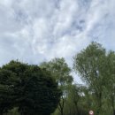 미니스톱 한강강서1점 이미지