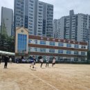 인천중앙초등학교 | 인천에서 소문난 초등학교 운동회업체 진행 맛집~! 대행업체