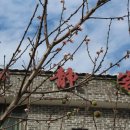 개천마을민박 이미지