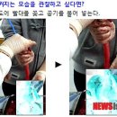 인천 여고서 유기동물 해부실습…동물학대 논란 (+베플) 이미지