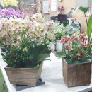 천호대로 213길 이미지