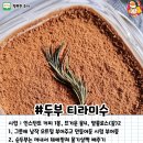 올리에프앤비 디너의 여왕