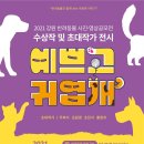 귀엽개 브레이크뉴스