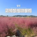 석성농원 | 철원 고석정 꽃밭축제 주차 이용요금 화장실 핑크뮬리