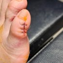 강남스탠다드정형외과의원 이미지