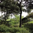 슈필라움 이미지