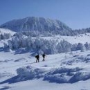 제주도 겨울여행 제주 겨울 여행 코스 이미지