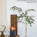 탄방역 이미지