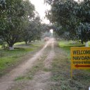 희망농장2 이미지