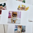 아로메리 이미지