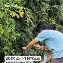 [후기] 전자음악캠프 w/이동규 ｜ 《전율(電律)》