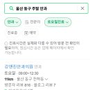 강앤진안과의원 티스토리