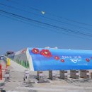 정가축인공수정소 | 전남 여수 가볼만한곳 오동도 완벽정리