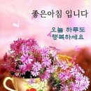 🌷😍천둥소리에 놀란 엉덩이.🌷😍 이미지