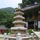 보살사 이미지