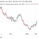 미국 장기채 매도 &amp; VIX 매수 이미지