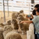 다정목장 이미지