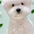 헬로우버디 판교밸리점 이미지