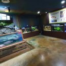 자연아놀자박물관 이미지