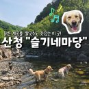 마당 | 경상남도 산청_ 대형견 계곡 추천, 슬기네 마당 대관 내돈내산 후기