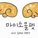 소울펫