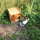 서울대공원 이미지