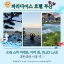 정선군청 신관 1층(남자) | 파라다이스 호텔 부산 오션 스파 씨메르, 야외풀 이용 후기 내돈내산 오션뷰 호텔 인피니티풀 추천