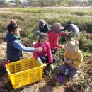 농부보따리 이미지