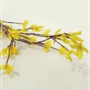 개나리장식 - 홍성군 내포로156번길 60 | 개나리장식