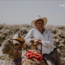 동명 전문요양원 이미지