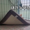 금동이네 이미지