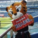 신화 합기도 이미지