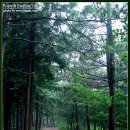 자은약수터 이미지