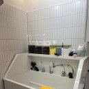 댕그루멍 이미지