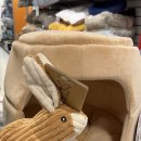 티제이 펫 이미지