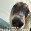 그리고경주 이미지