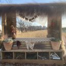 호두데이 이미지