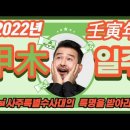 2022년 임인년(壬寅年) 갑목(甲木)일주/갑목일간 도표로 미리보는 운명주의보 이미지