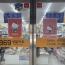 대구 키티샵 말랑이 1황 키친자 성지 369생활마트 방문 리뷰