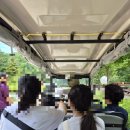 산림생태문화체험단지 | 정선 백두대간생태수목원 &amp; 산림생태문화체험단지 숙박