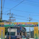 [충북 축제] 6월 가볼만한곳, 2026 음성품바축제 일정 및 솔직 후기