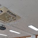 남선초교 이미지