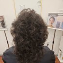 (주)파마케어 | 당진 수청동 미용실 퓨어 헤어 링거 볼륨 파마 일반 펌