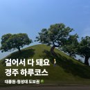 UR(경주시)-[포석로]-상-3 | 경주여행코스 대릉원 황리단길 하루에 걷고 먹은 순서