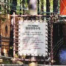 아마존월드 | 경기 용인 가볼만한 곳 에버랜드 방문 후기 및 꿀팁 (주차장, 판다월드, 아마존익스프레스, 사파리월드)